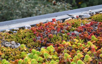 the cost of Duncanston green roof installation