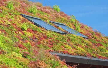 Duncanston living roof systems