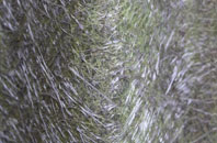 Duncanston fibreglass roof work