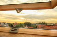 rated Duncanston roof window companies